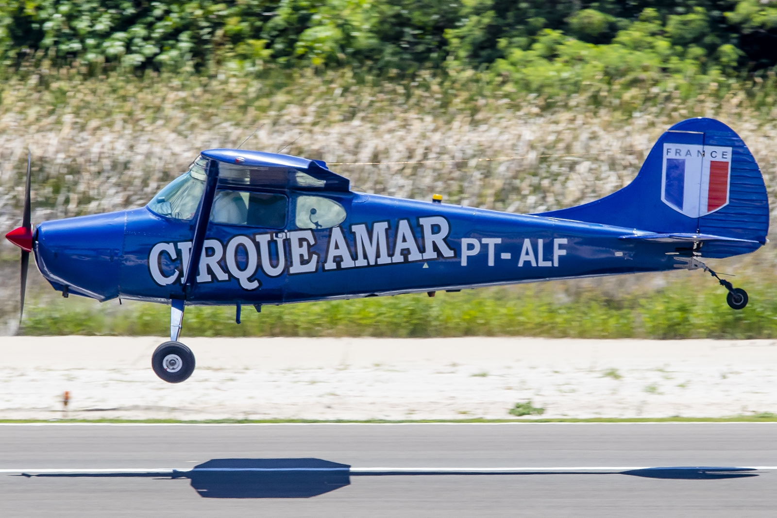 PT-ALF - Cessna 170A