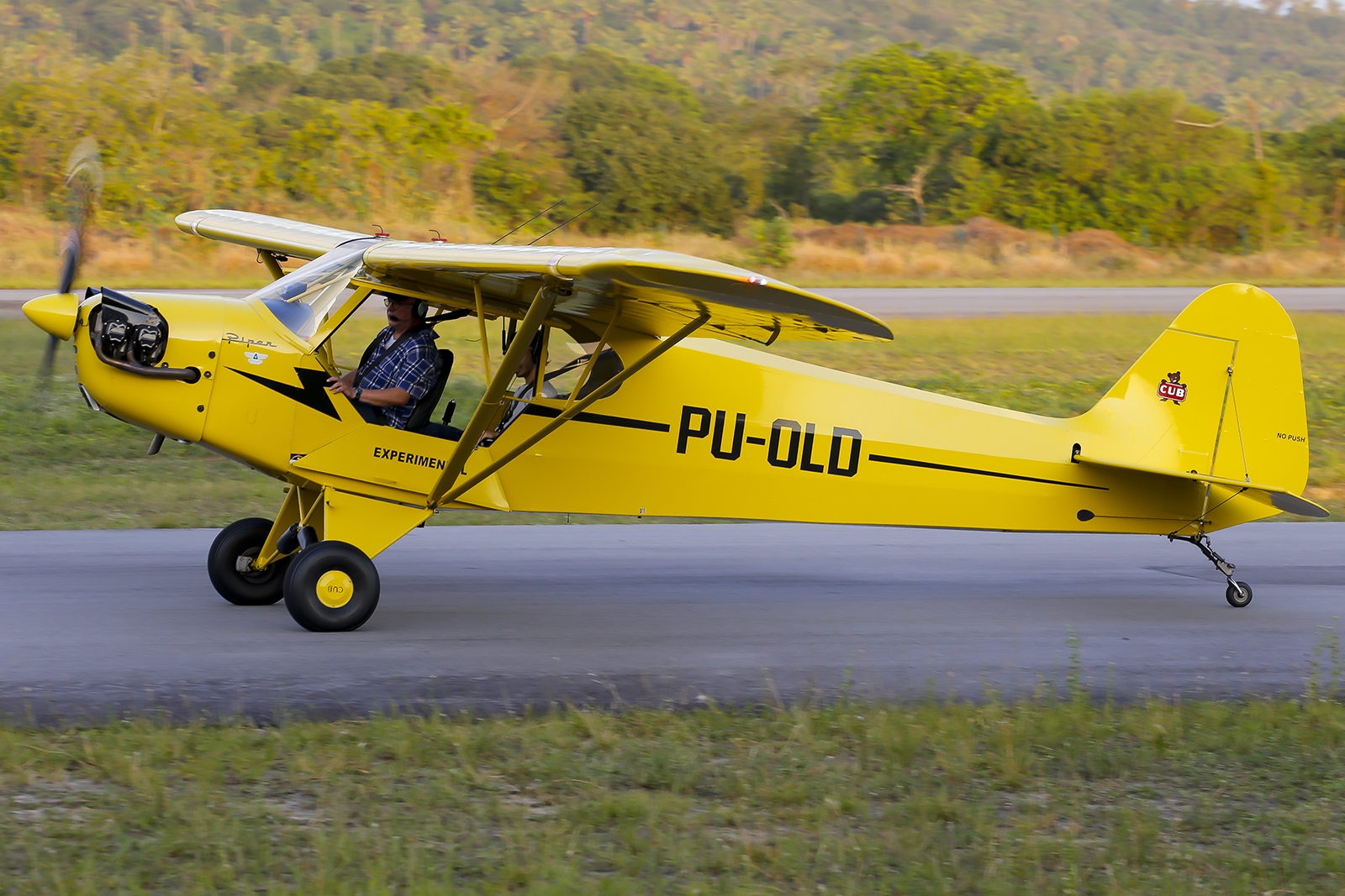 PU-OLD - Piper J-3 Cub